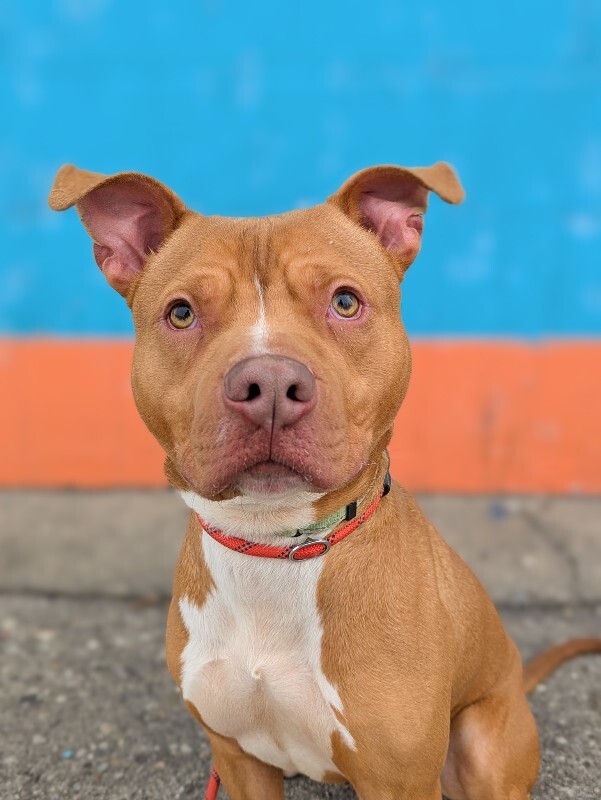 PXL 20260214 153903462.PORTRAIT 2