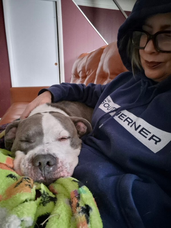 View Chivey the Dog Photo #2