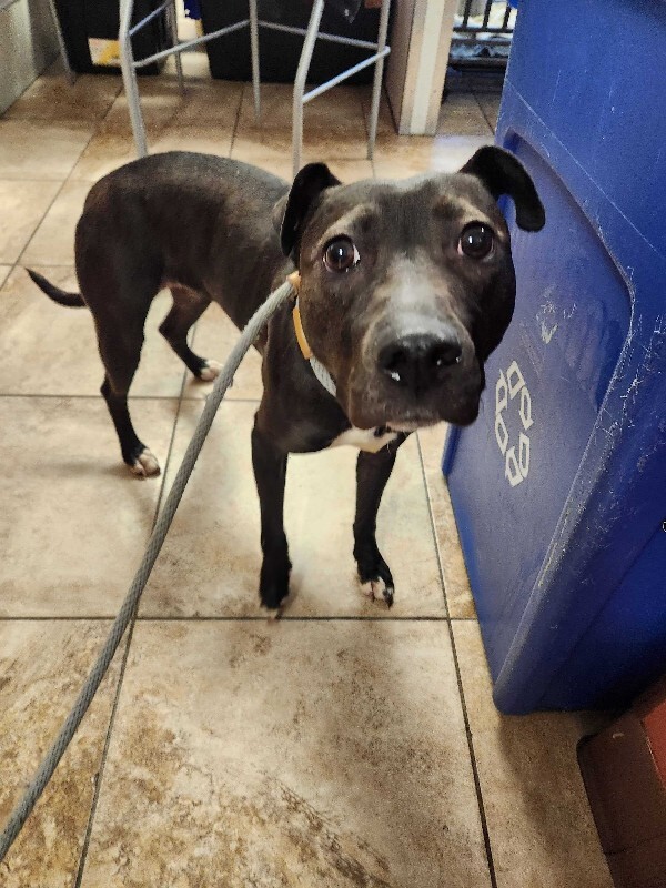 Learn More About Fairylight 20251221 164440