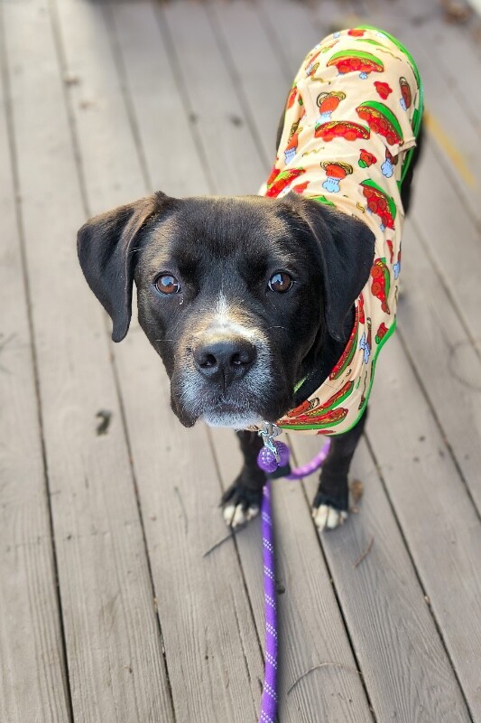 Learn More About Thane IMG 20260105 162520801 HDR