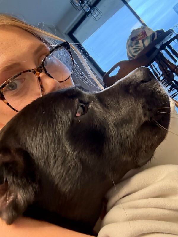 View Thane the Dog Photo #11