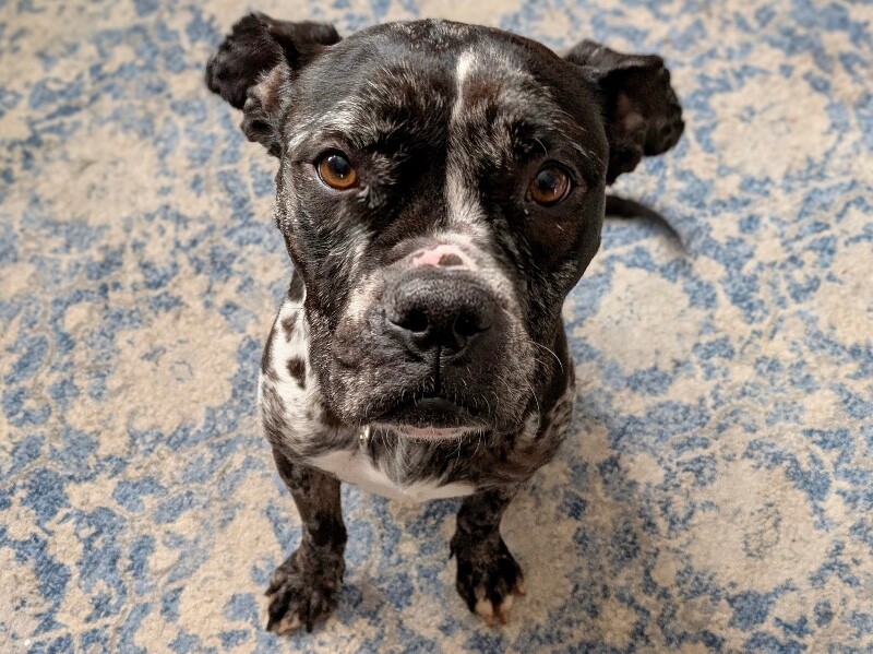 PXL 20251220 154803308~2