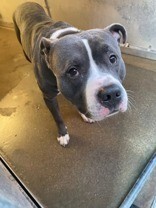 84a839b0 874f 4baa 99e2 e42b1cc2feca tn1