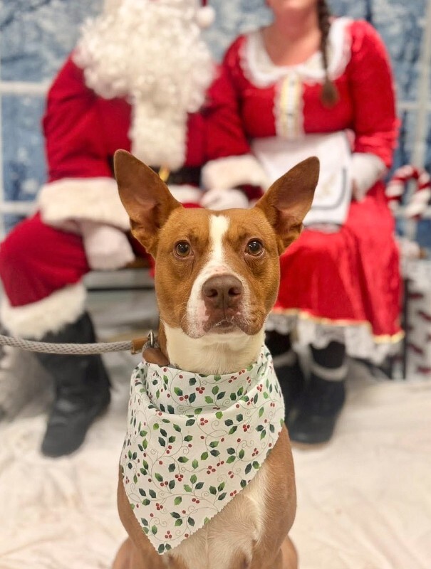 599634627 10109182765920763 7917647105320451728 n 2