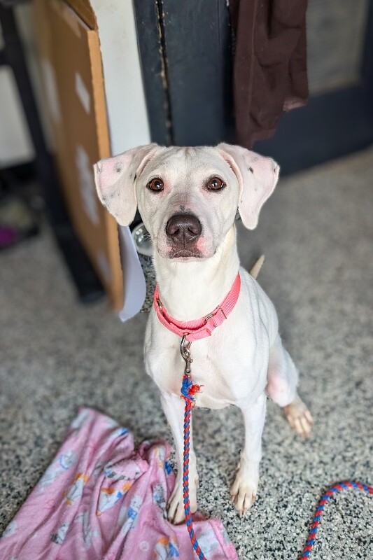 Learn More About Wormy PXL 20260117 193304107.MP