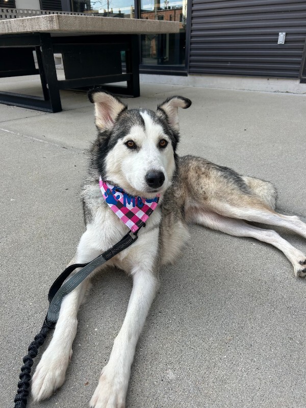 Learn More About Rossiya IMG 9251