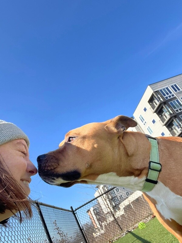 View Agathe the Dog Photo #5