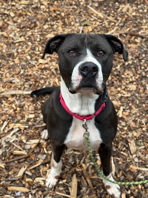 589050702 2403635230065304 3515815388572686140 n