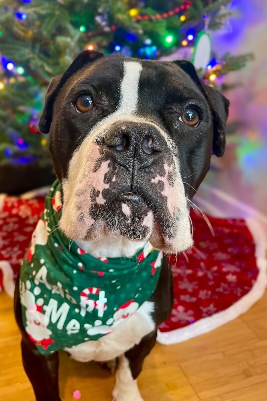 Learn More About Trinity 0 2 3