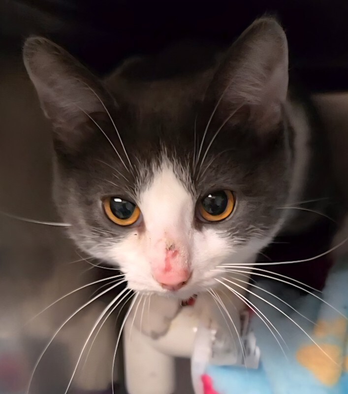 Learn More About Jessy 1000044504