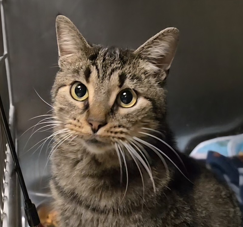 Learn More About Sprout 1000044521