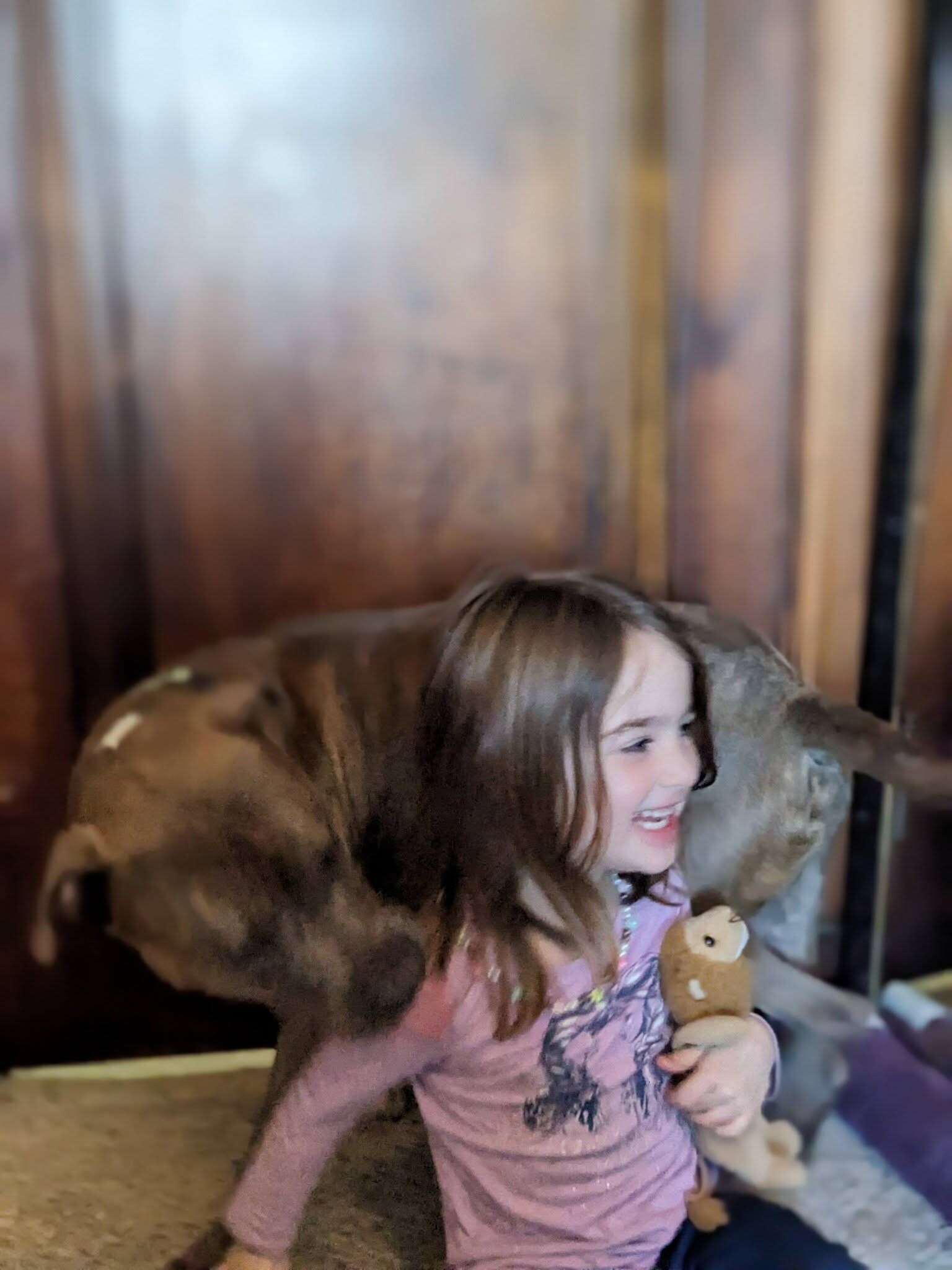 View Lucci the Dog Photo #13