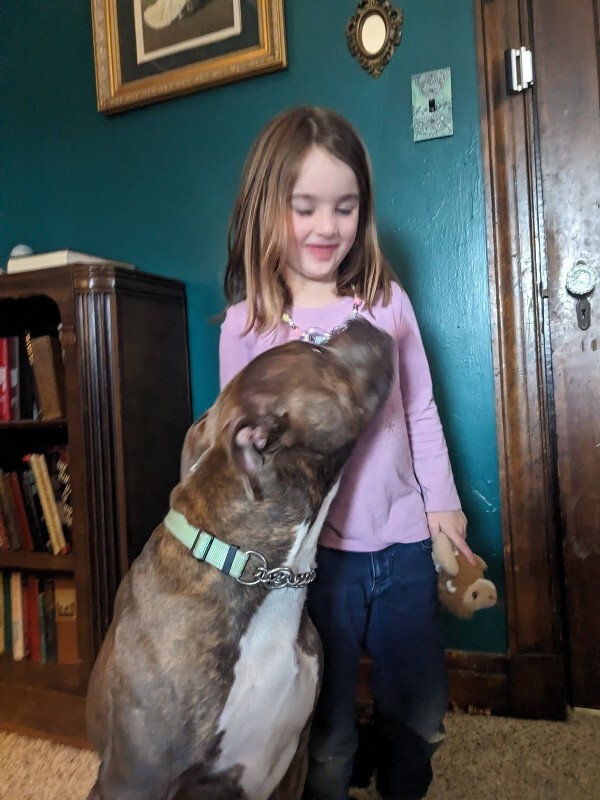 View Lucci the Dog Photo #6