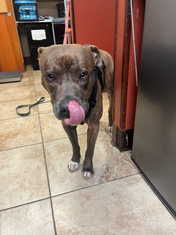 image2 2026 01 02T135849.765