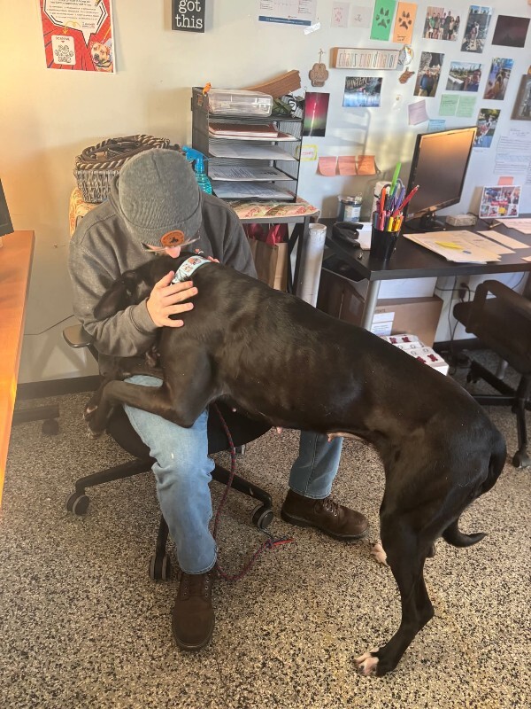 View Claro the Dog Photo #2