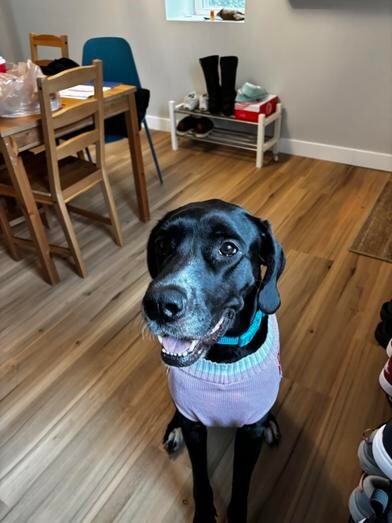 Learn More About Claro IMG 9579