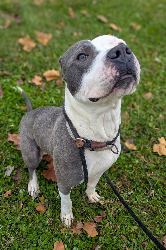 PXL 20251207 154938617