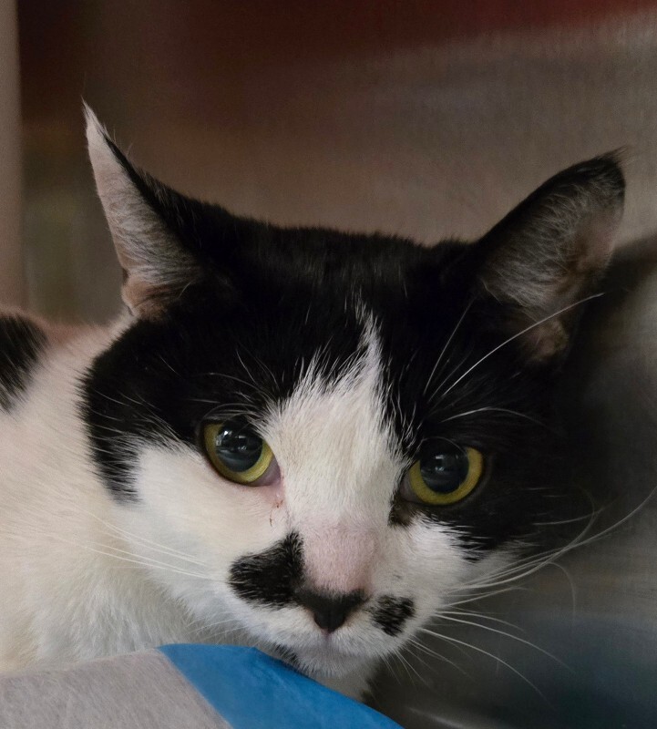 Learn More About Bailey 1000044130