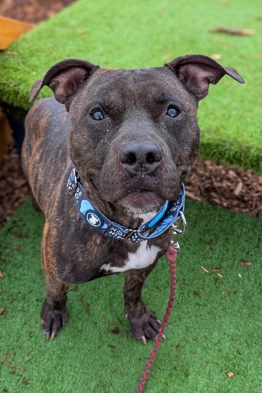 PXL 20251210 201516360.MP