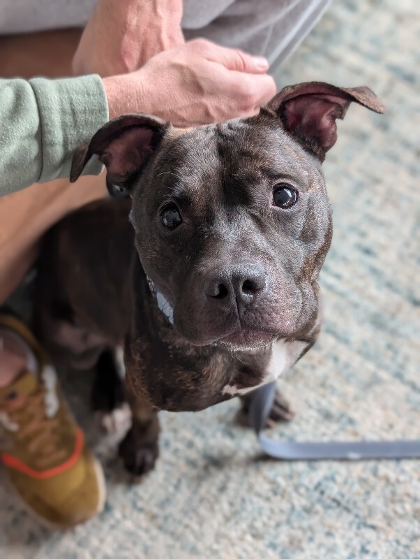 PXL 20260110 183628665.PORTRAIT~2