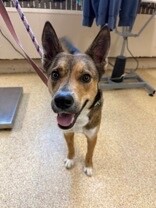 5c8454c1 8c9a 4cbc a507 5ccade678b0d tn1