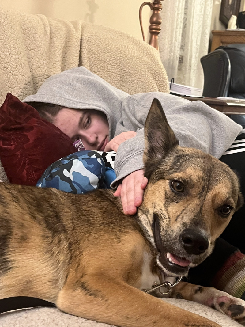 View Ava the Dog Photo #4