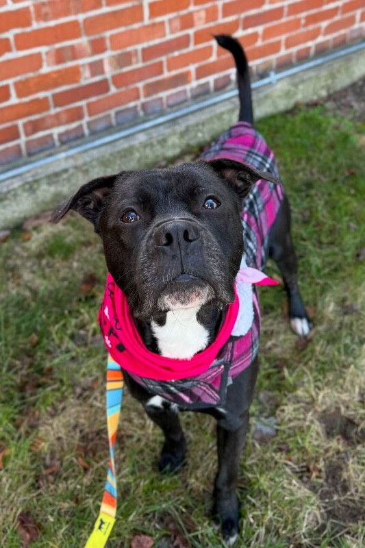 615421027 122149759280712597 8334536959974760744 n