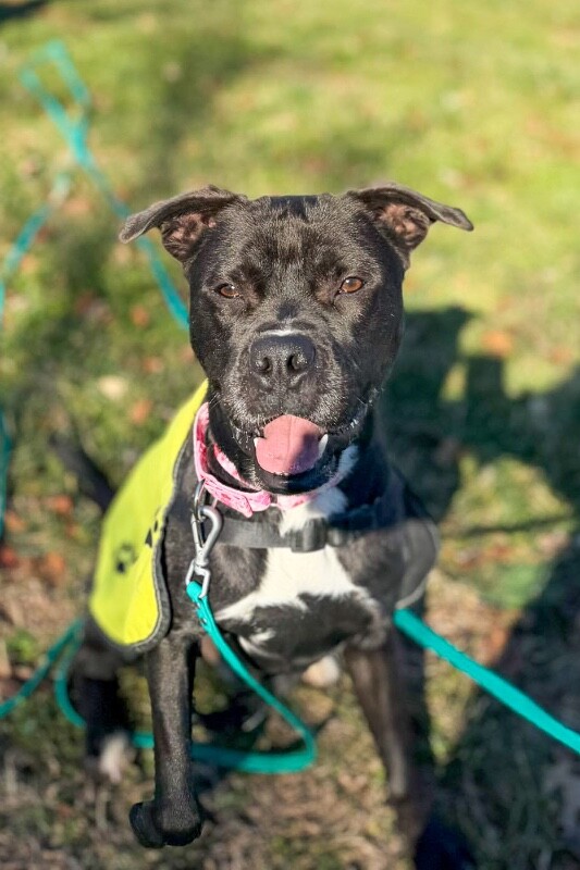 615529916 122149758614712597 6713466646162976114 n