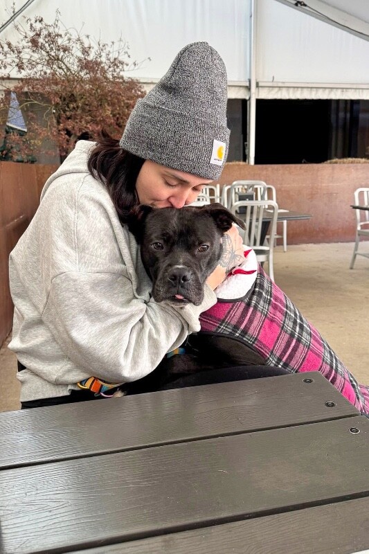 View Space the Dog Photo #16