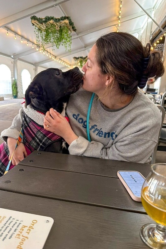 View Space the Dog Photo #3