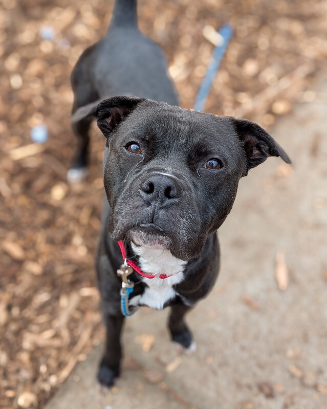 PXL 20251223 160914976 2