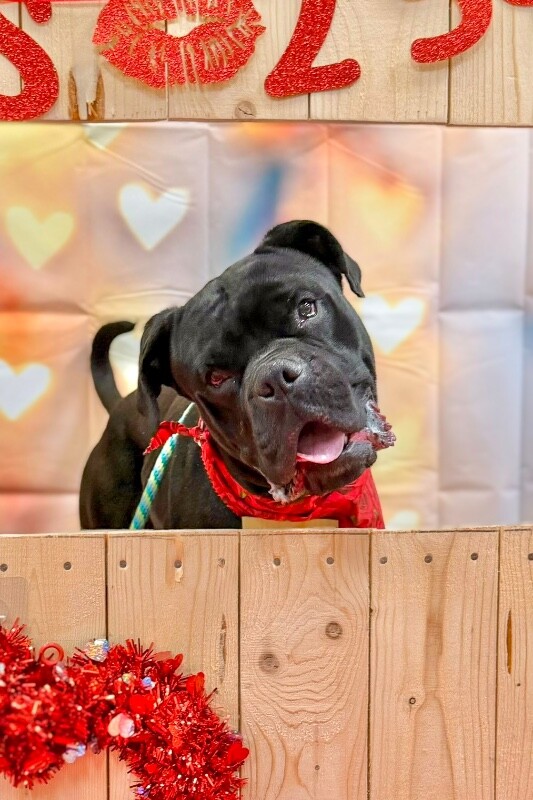 Learn More About Buzz 617109789 803454826081233 6514043262119913785 n