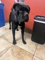 7e8347b3 454e 4de9 bd8e 0f186f979458 tn1