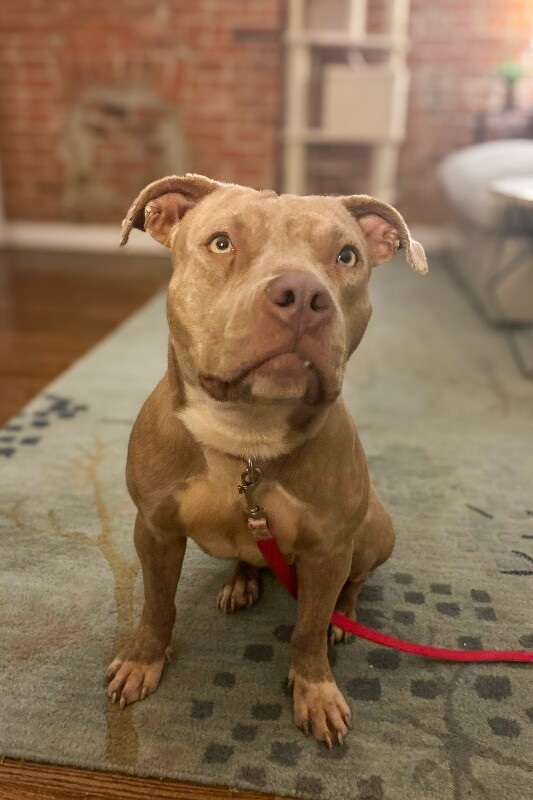 Learn More About Snow Blitz 610765325 1395289455391995 3507750370677806831 n