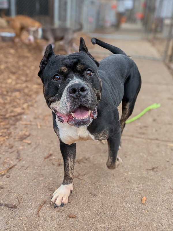 PXL 20251208 154257003 2