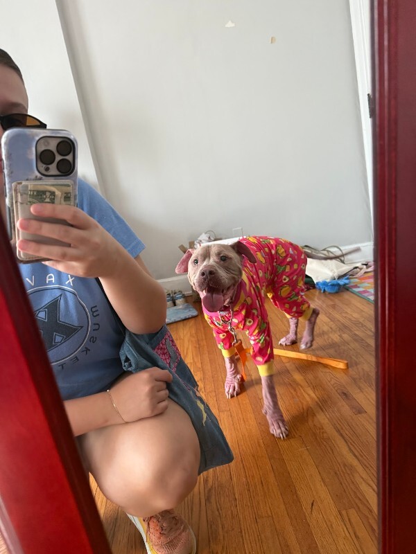 View Talia the Dog Photo #6