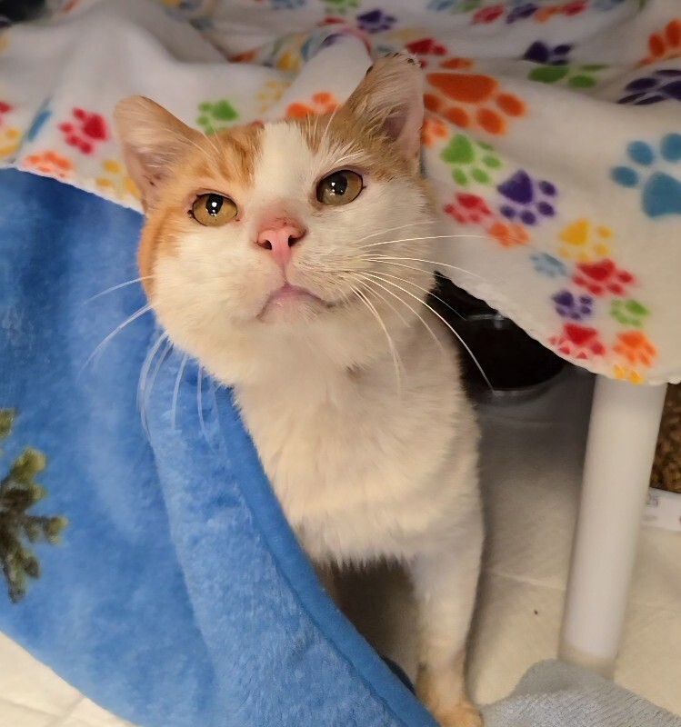 Learn More About Outback 1000044365