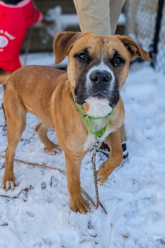 PXL 20251215 201646814.MP