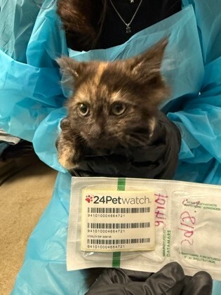 6f22f4a6 71a9 4b2d 946e 5e84368cc15e