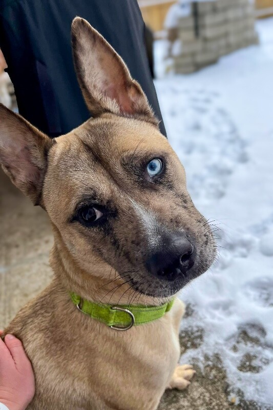 600234622 25920758910842455 4610443932989281136 n