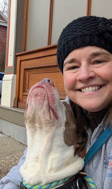 View Sir David II the Dog Photo #8