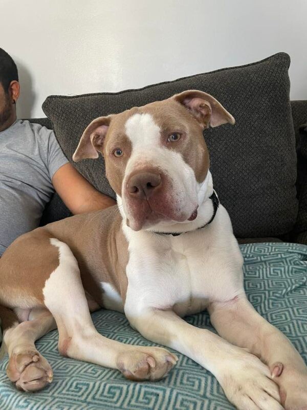 628276230 10116653025729864 1205654754930875908 n