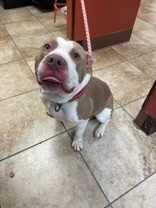 eec557a8 dd47 444a aa72 f5b0685d9a5a tn1