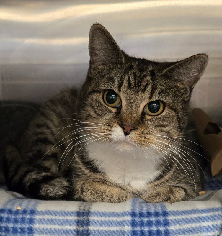 Learn More About Eloise 1000044552