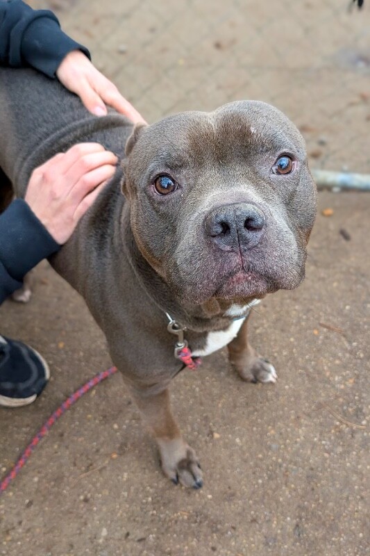 PXL 20251210 200439255.MP