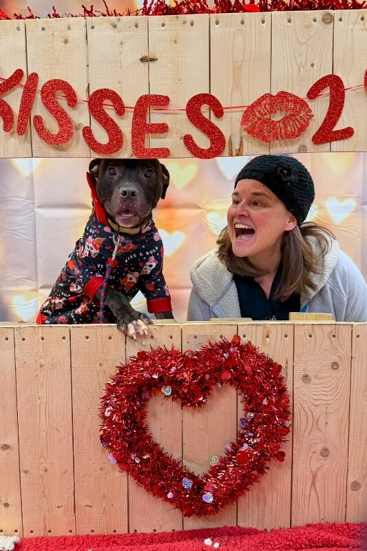 View Nougat the Dog Photo #7