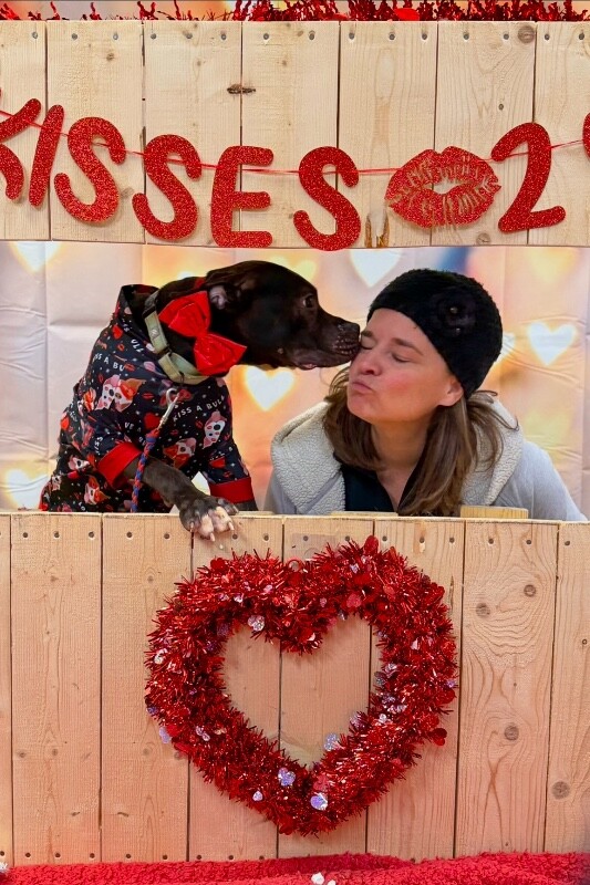 View Nougat the Dog Photo #6