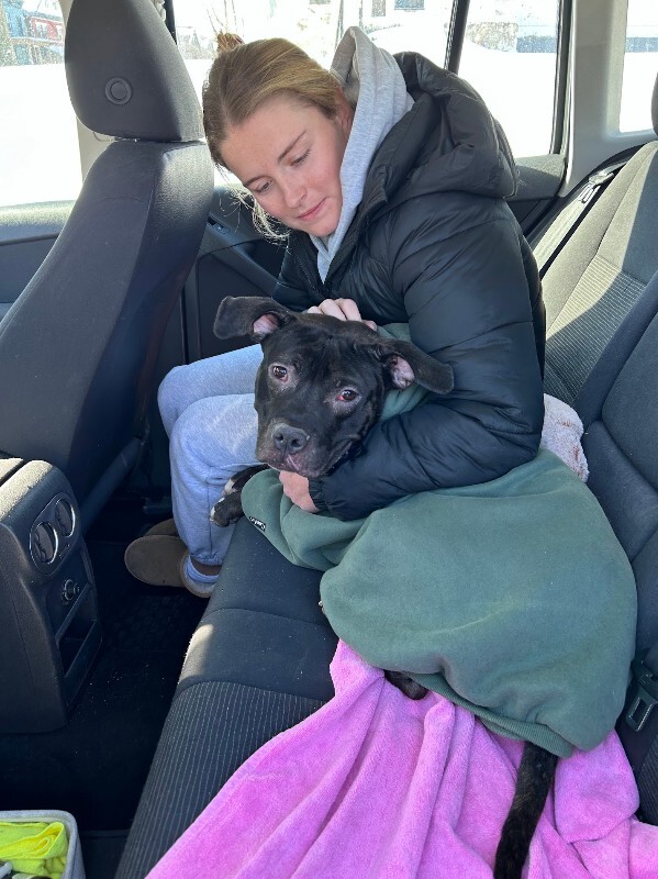 View Nougat the Dog Photo #16