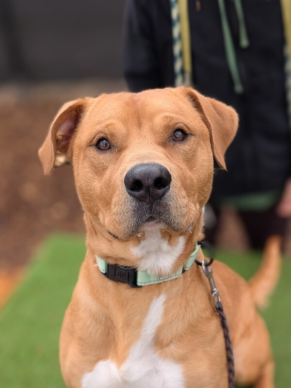 PXL 20251210 195000378.MP 2