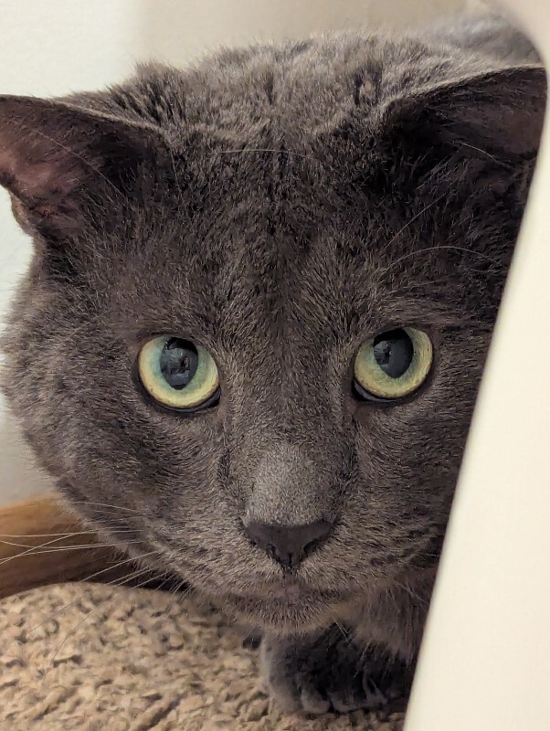 PXL 20260108 025110571 Lauren Goddard